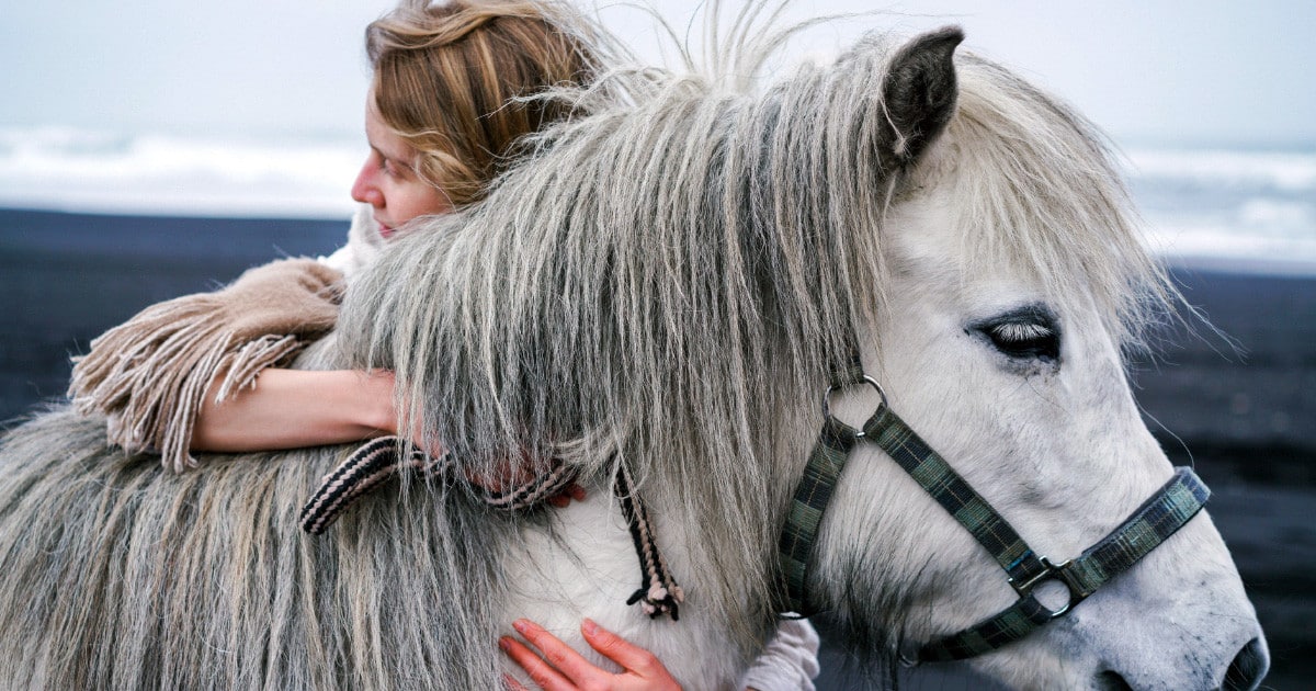 Les bijoux en crin de cheval