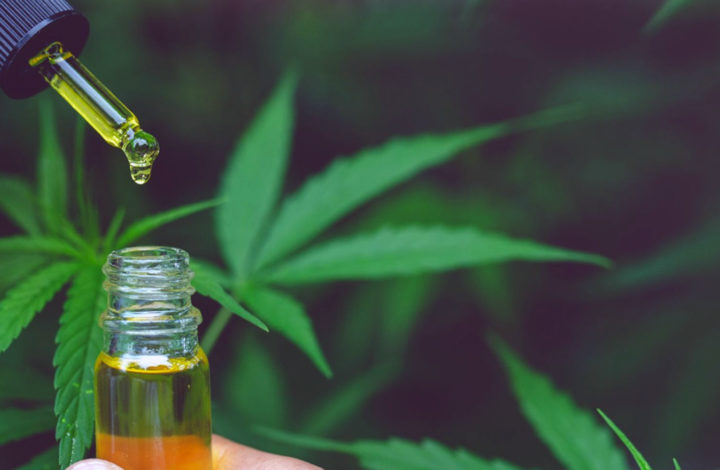 Histoire du cannabis