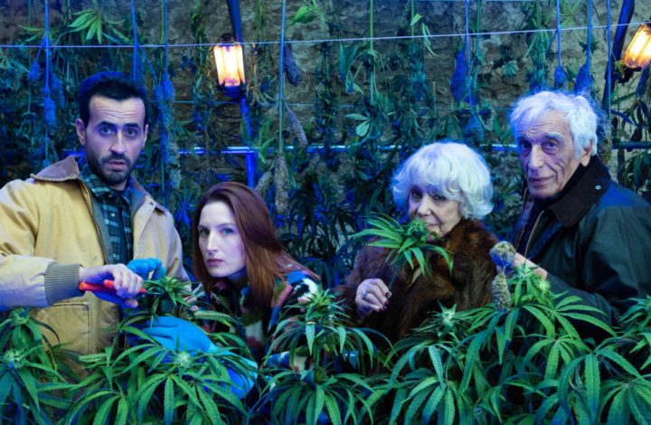 Family Business saison 3
