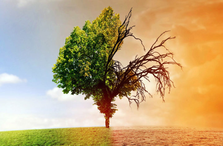 Réchauffement climatique