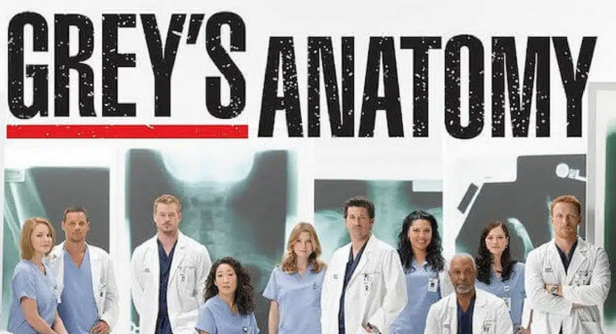Greys Anatomy  19×10