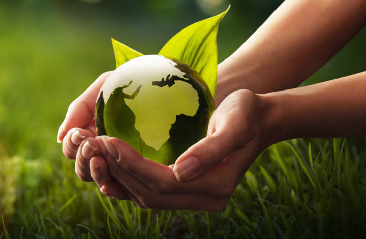 Ecologie