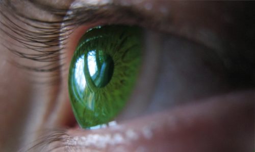 Un regard sublimé avec des lentilles de contact de couleur
