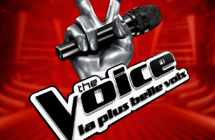 The Voice : un candidat pour VIanney