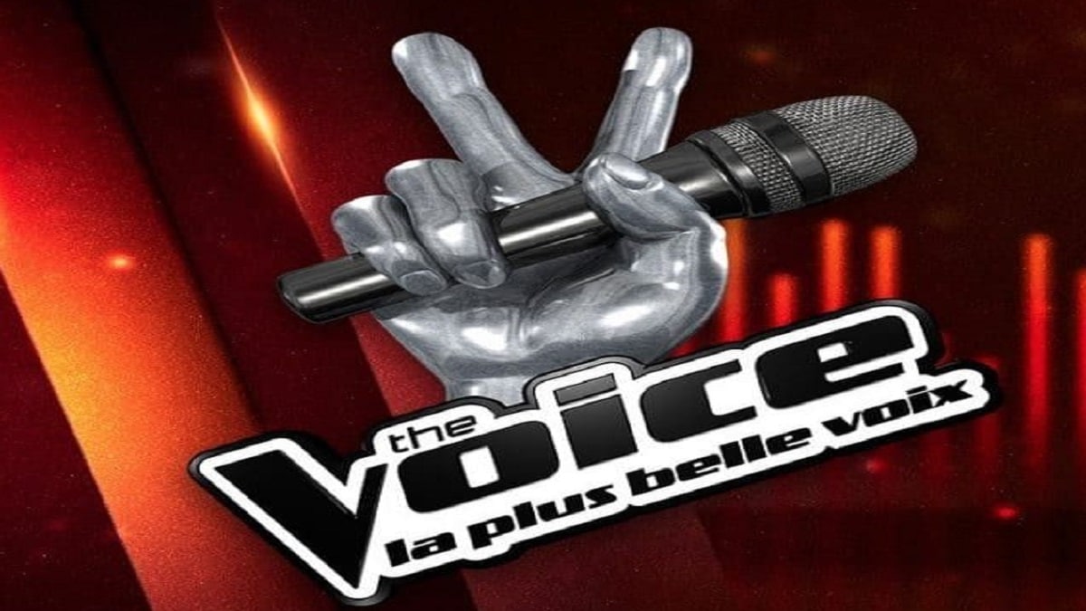 The Voice : Ces 10 candidats ont surpris les coachs durant la dernière audition de l'émission !