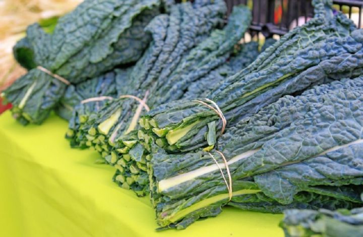 Alimentation : Voici pourquoi le kale sera votre allié cet été !