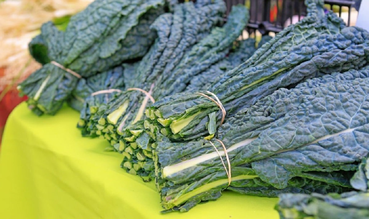 Alimentation : Voici pourquoi le kale sera votre allié cet été !