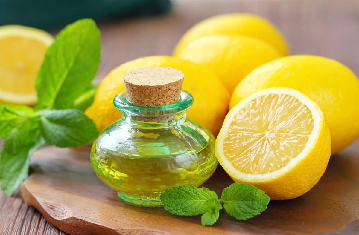 Elixir au citron