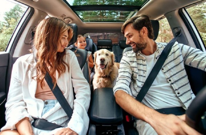 Vacances : La météo douce de l’automne tente les touristes à prolonger leur séjour en France !