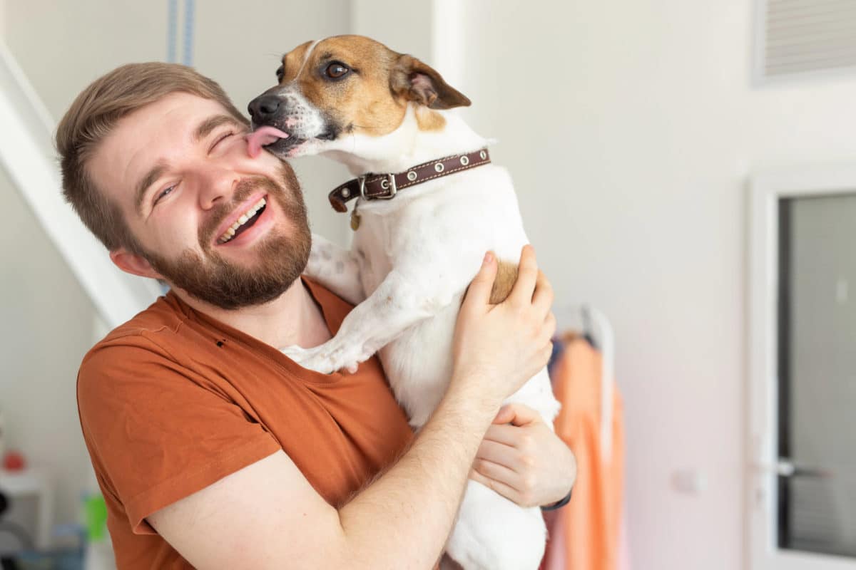 Chiens lèchent leurs maîtres