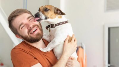 Chiens lèchent leurs maîtres