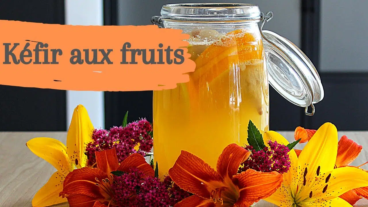 Le kéfir de fruit : Une boisson miracle et détoxifiante, découvrez quels sont ses bienfaits pour votre santé !
