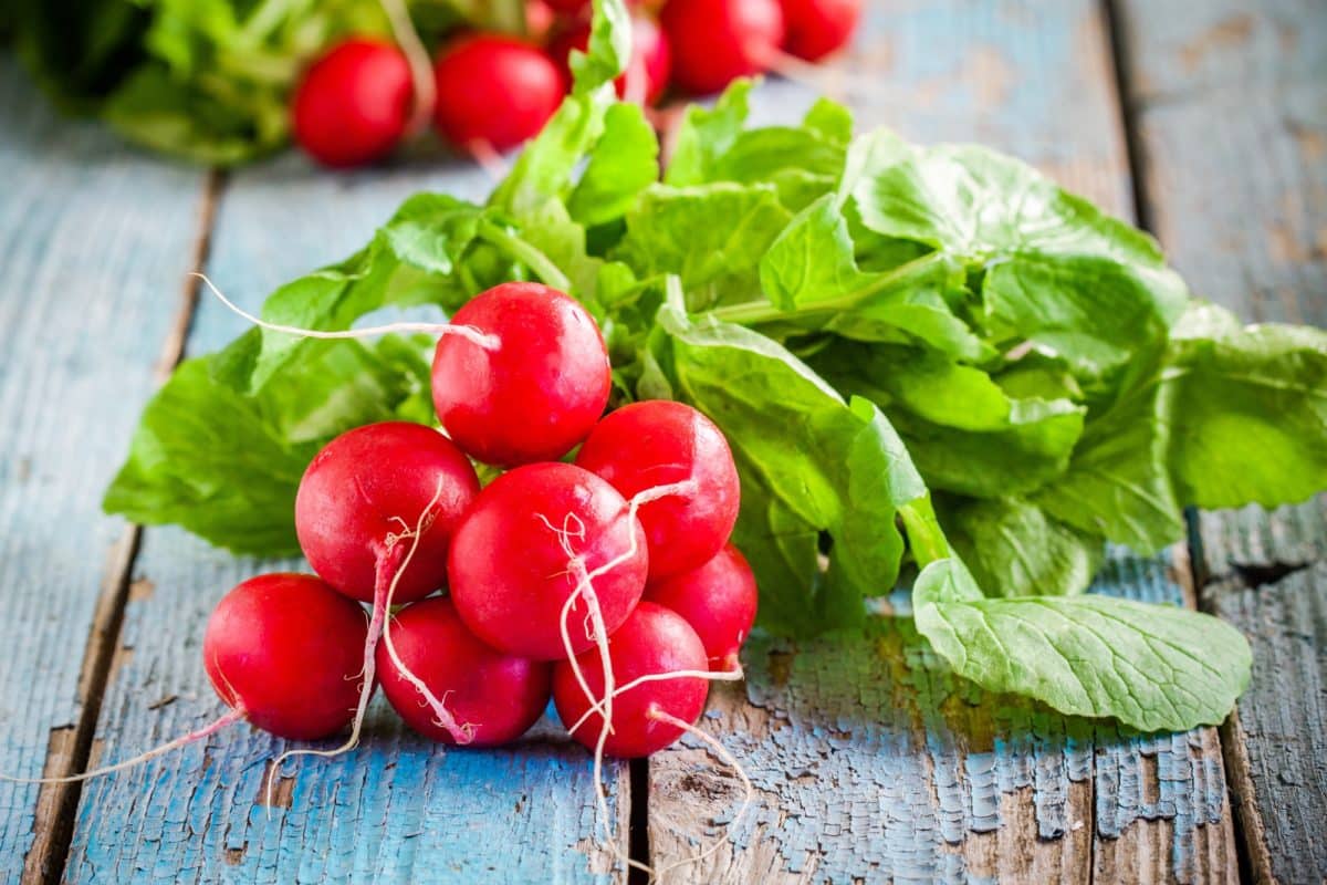 Alimentation