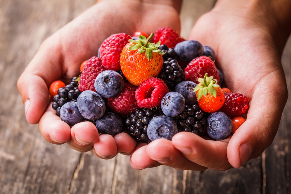 Les baies sont de véritables trésors nutritionnels