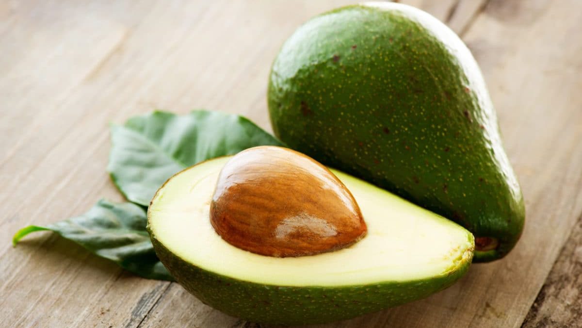 Avocat