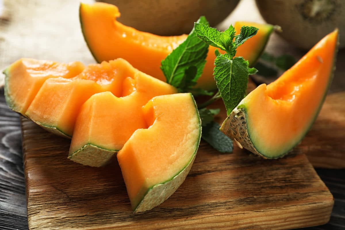 Pépins et écorce du melon