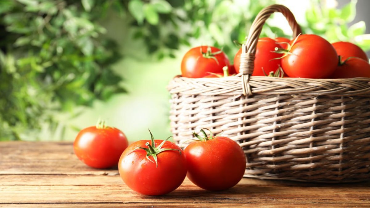Quelle est la meilleure tomate pour la santé ? Les conseils d’une nutritionniste