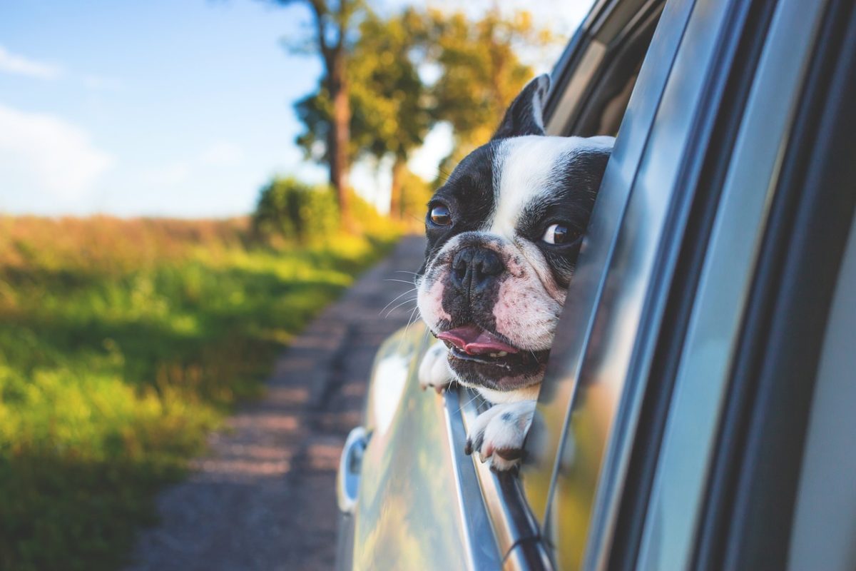 Voyage : Toutes nos astuces pour bien régler les différents équipements de votre voiture avant de prendre la route !