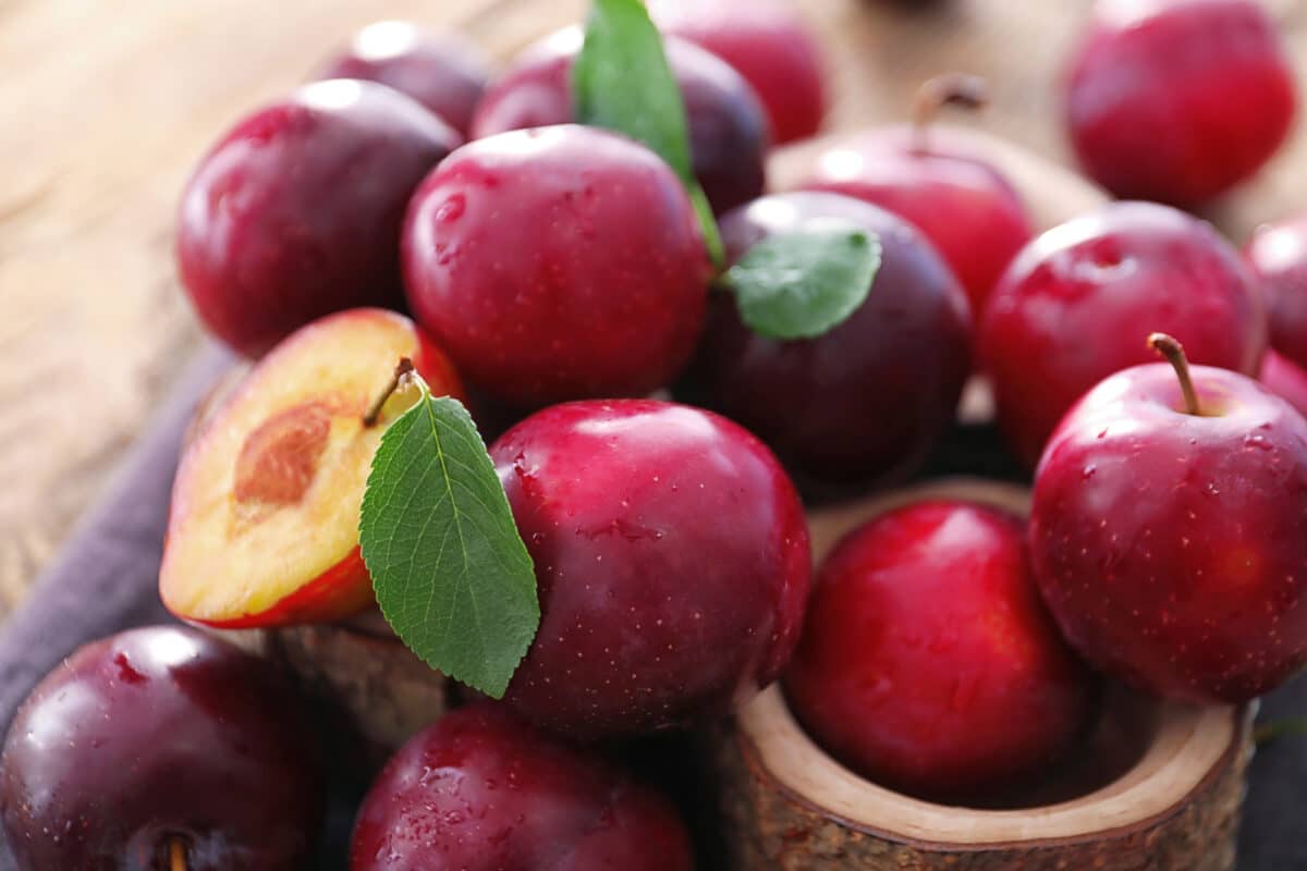 Prunes
