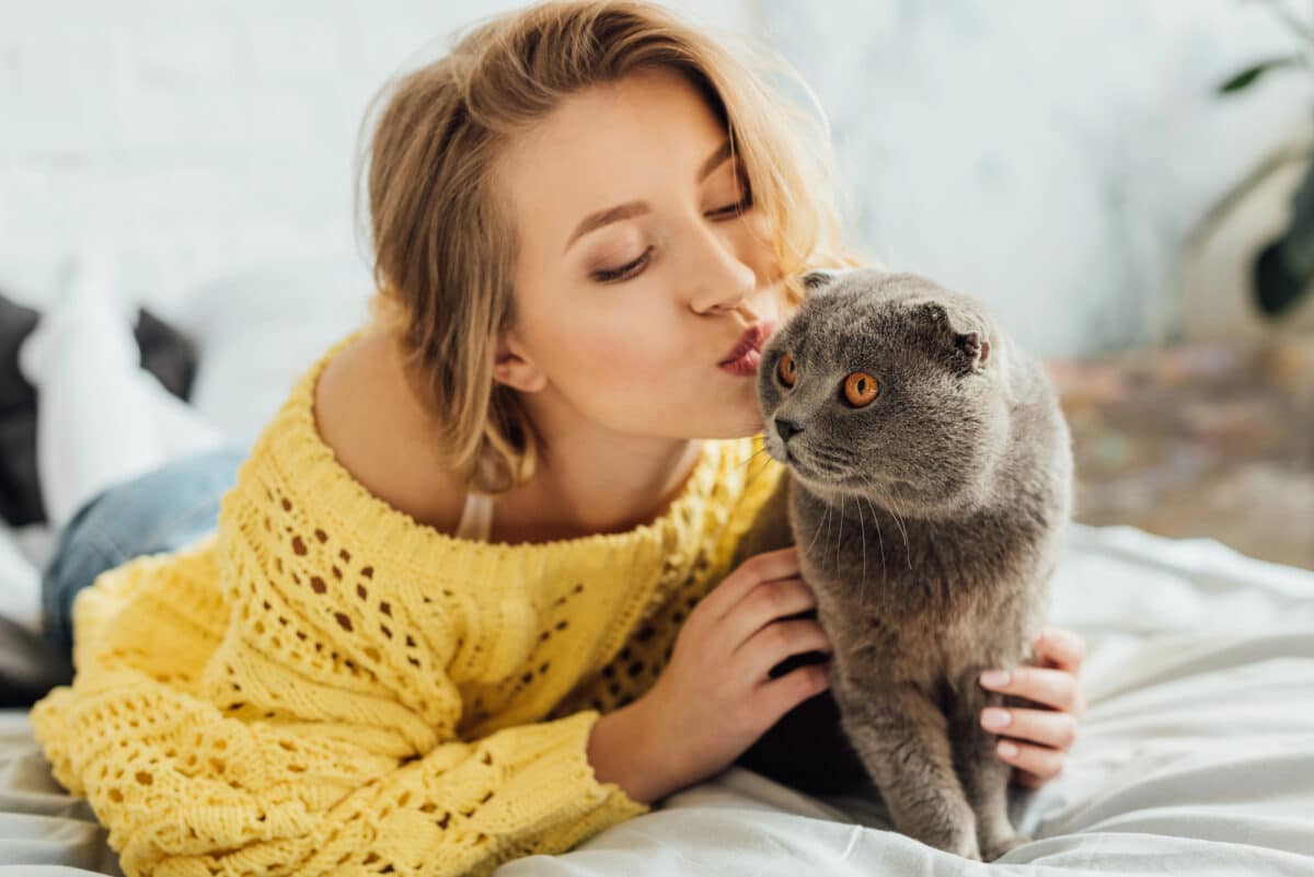 Personnalité de votre chat