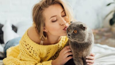 Personnalité de votre chat
