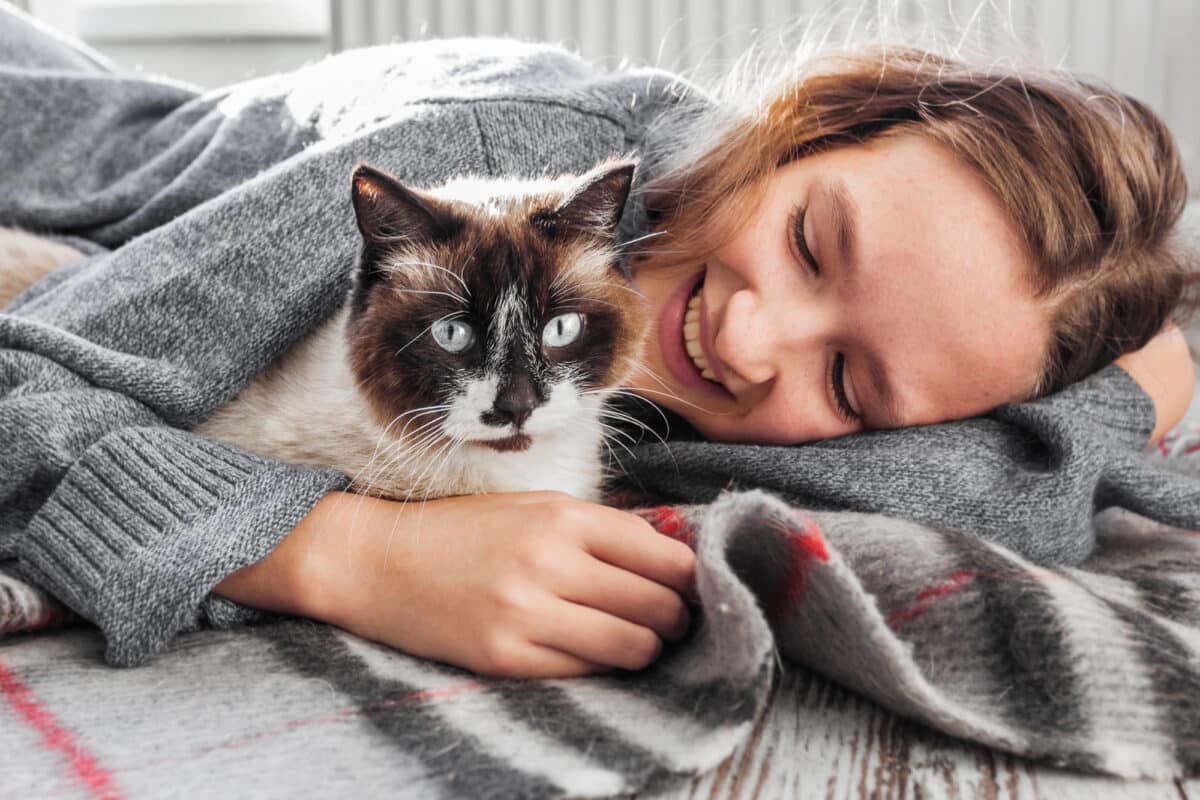 Votre chat se blottit contre vous durant la nuit