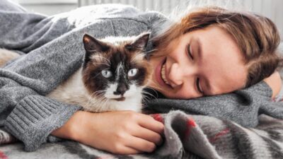 Votre chat se blottit contre vous durant la nuit