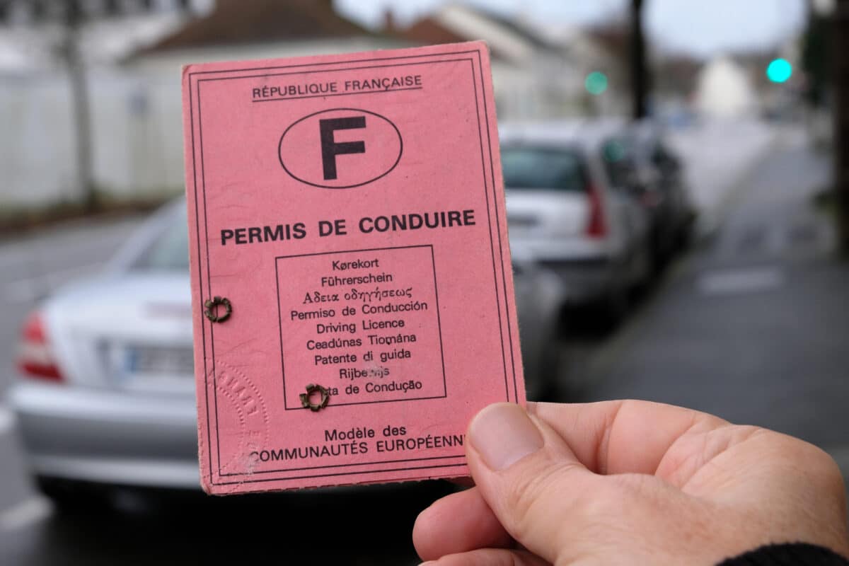 Permis de conduire rose