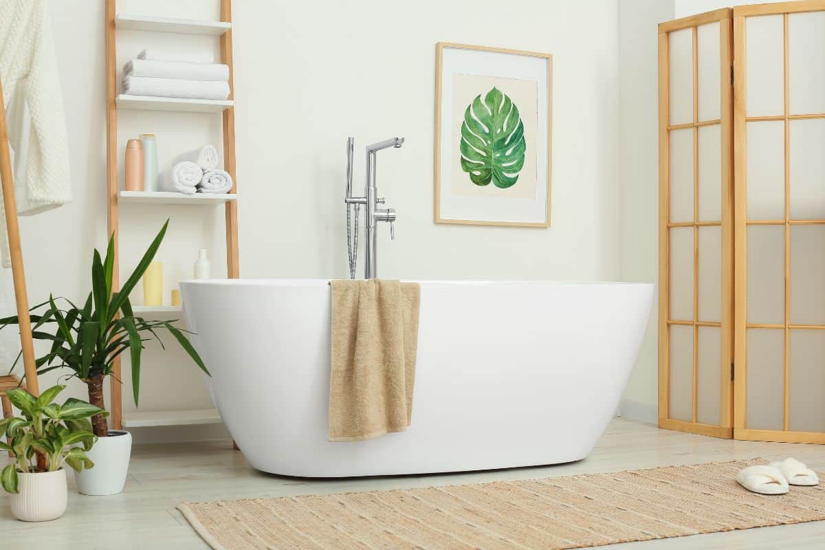 Touche de décoration naturelle avec des plantes