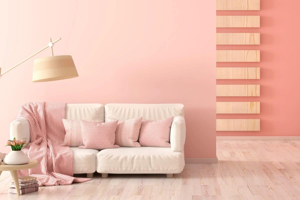 Salon avec décoration Blush