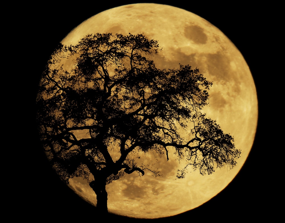 Pleine Lune du 17 octobre 2024