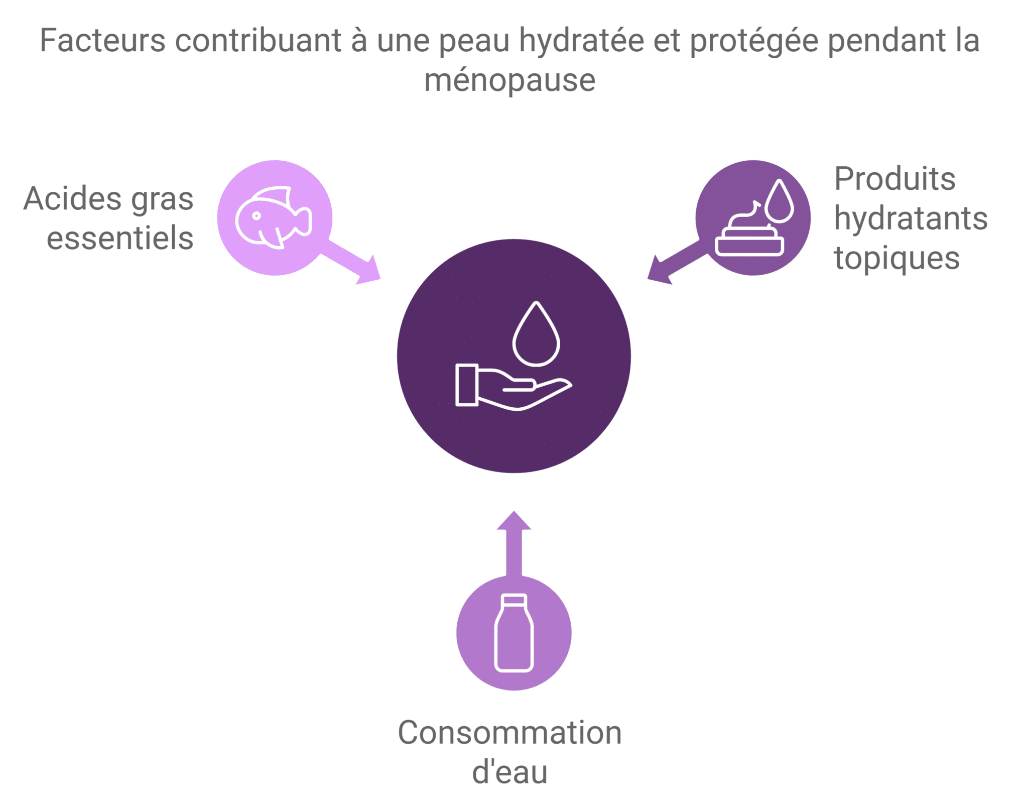 Facteurs contribuant à l'hydratation de la peau pendant la ménopause