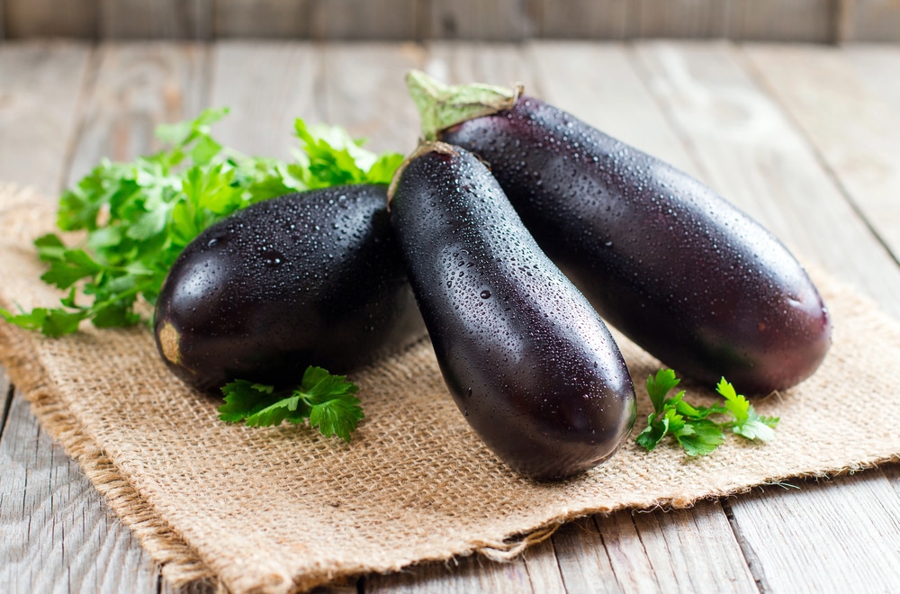 Aubergine