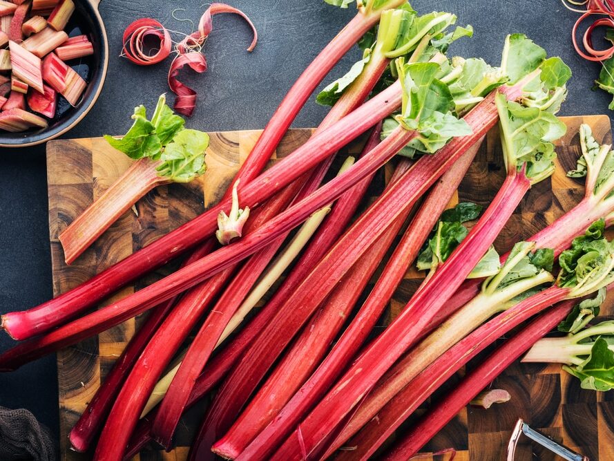 Rhubarbe
