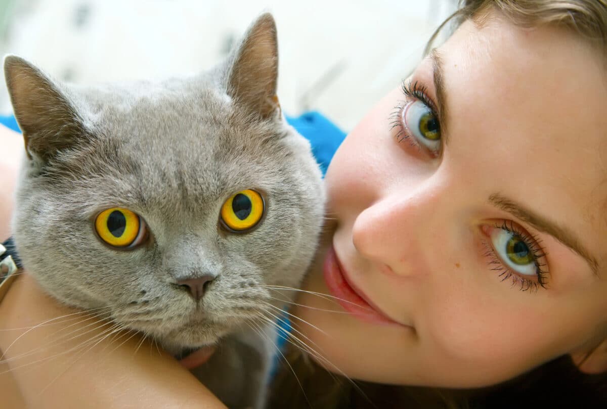 Pouvoir des animaux de compagnie
