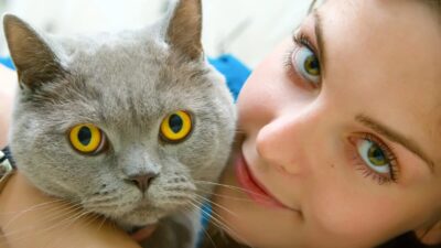 Pouvoir des animaux de compagnie