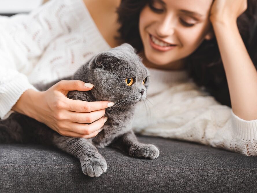 Votre chat aurait votre personnalité