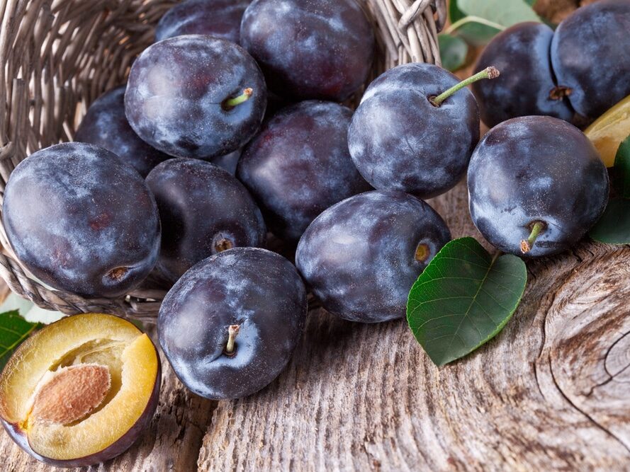 Bénéficier des bienfaits des prunes
