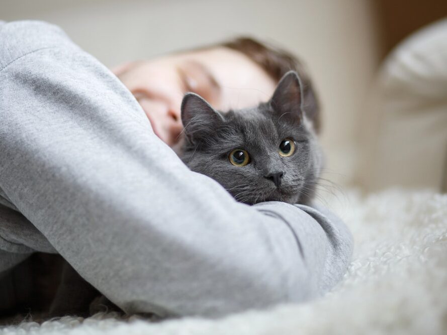 Chat se blottit contre vous la nuit