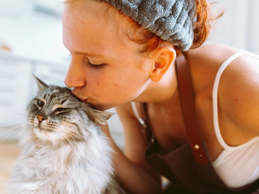 La relation entre nos chats et nous