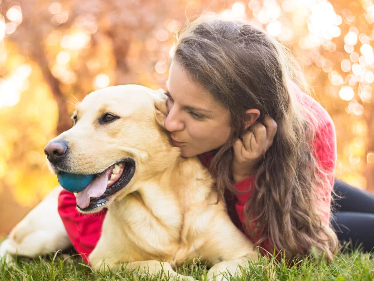 La perception du temps chez nos chiens