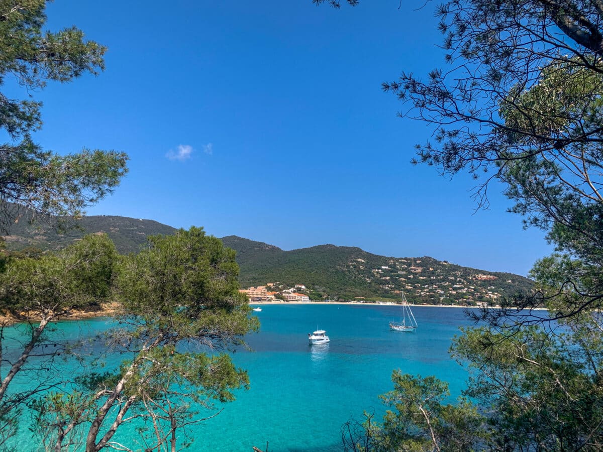 Vacances d'été 2025