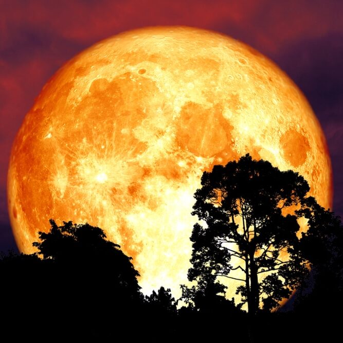 Lune de sang