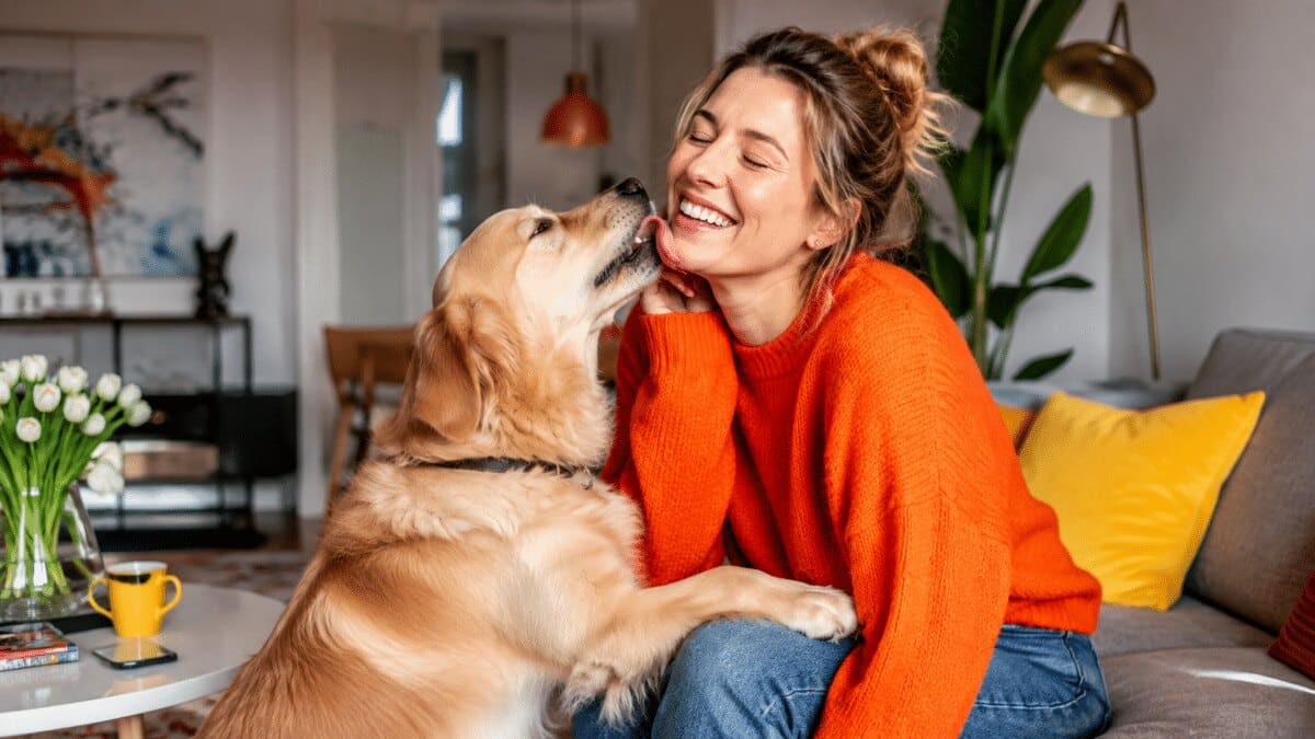 Pourquoi les chiens lèchent-ils leurs maîtres