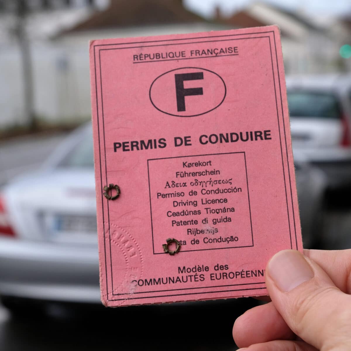 Permis de conduire rose