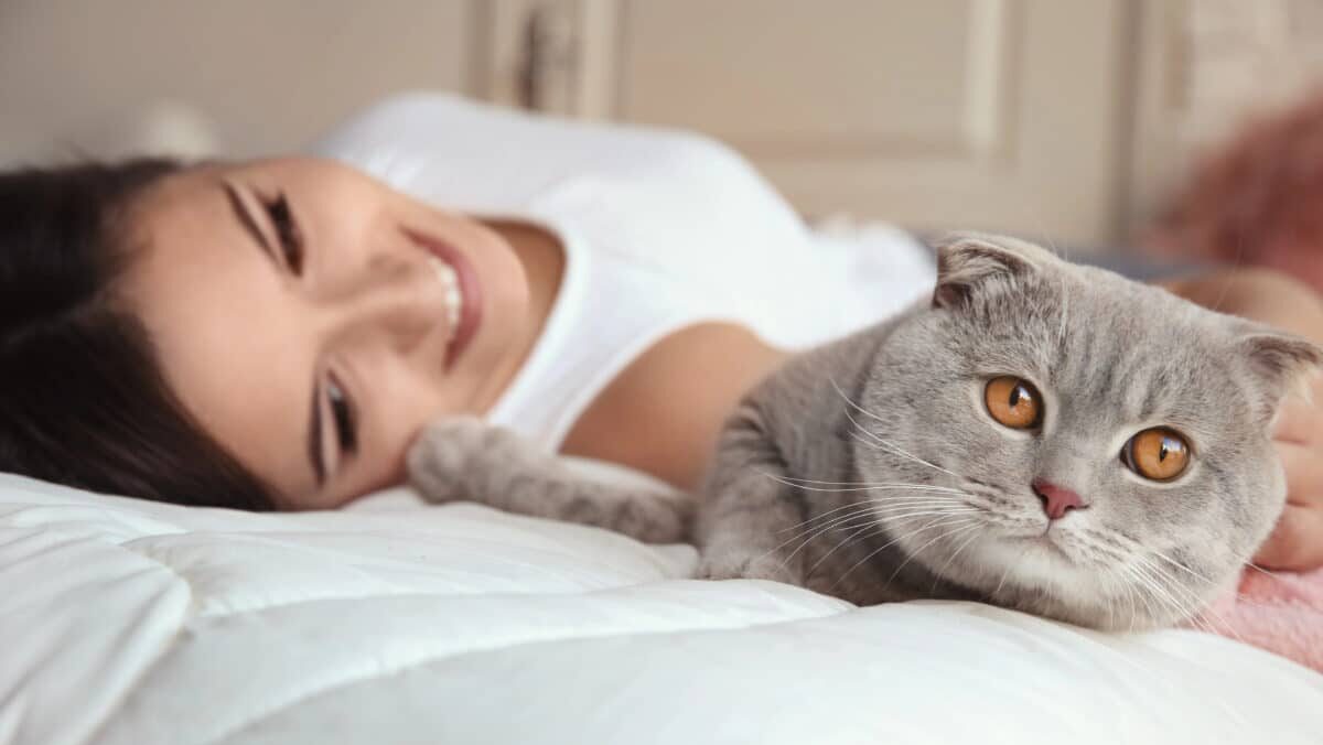 Votre chat dort sur vous