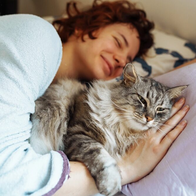 Votre chat dort sur vous, c’est un vrai signe d’attachement