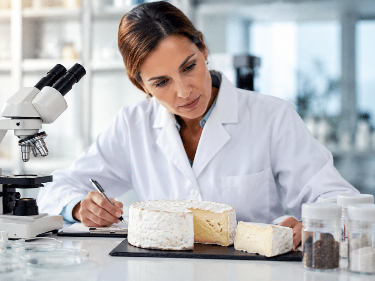 Le camembert intéresse les chercheurs